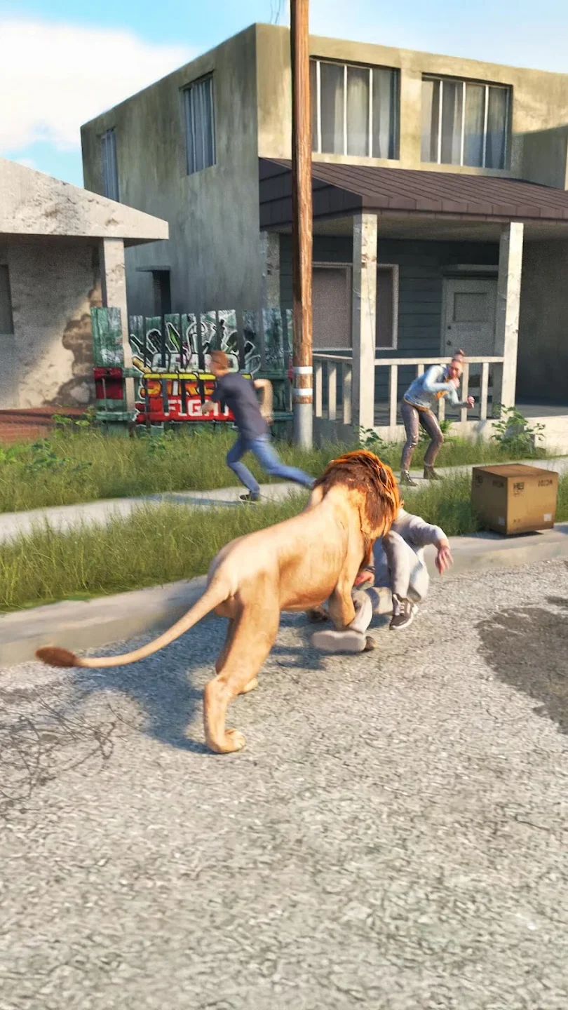 Lion attacking in a neighborhood area